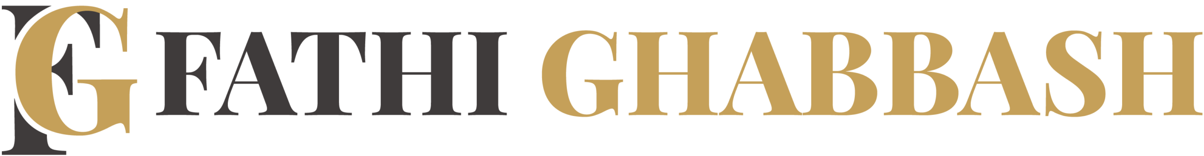 FATHI GHABBASH PORTFOLIO